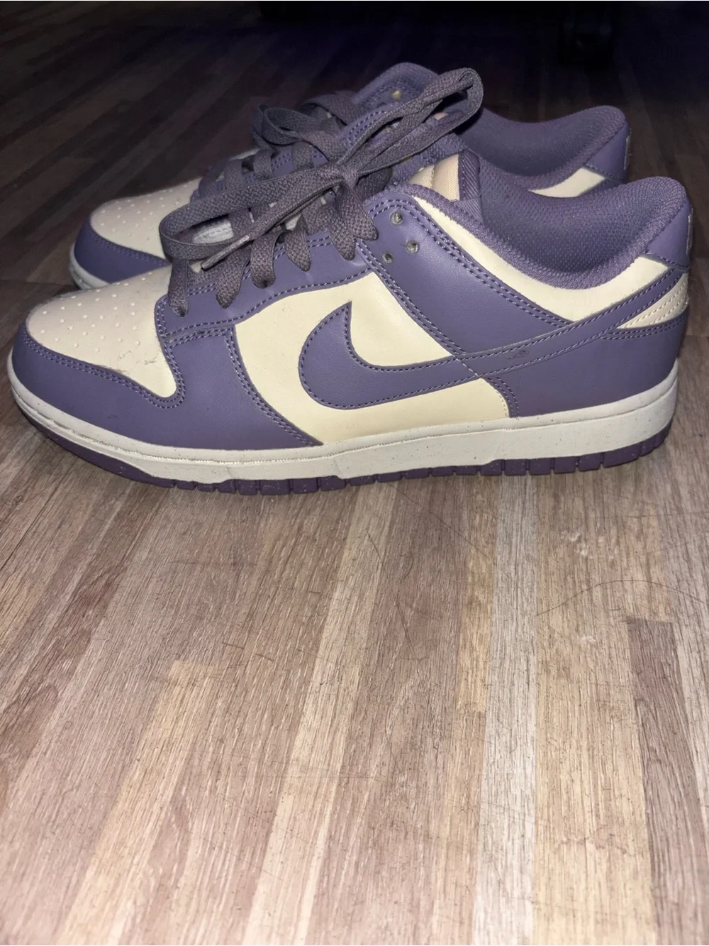 Nike Womans Dunk Low Next Nature 'Daybreak'
